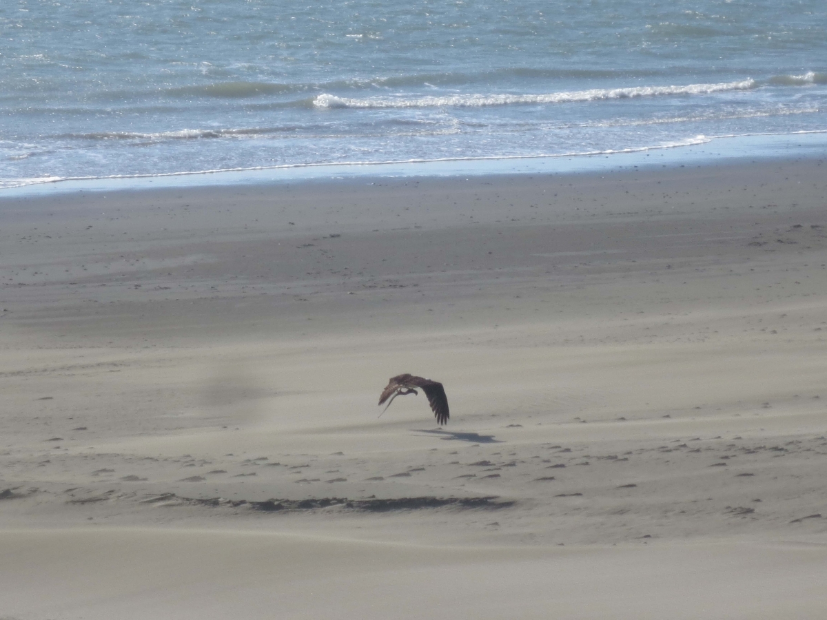 IMG_4404 copy_0.jpg