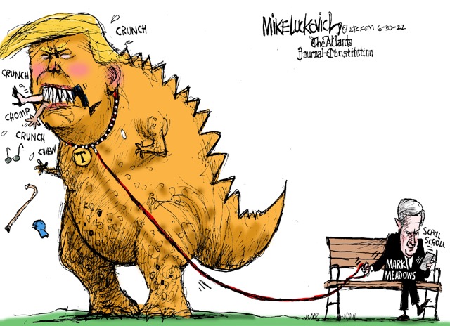 IMG_4580.jpeg