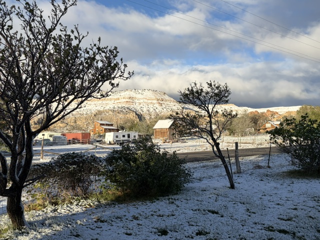 IMG_5194.jpeg
