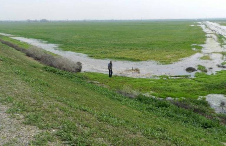 JH Dairy Farm Flooding 2.jpg
