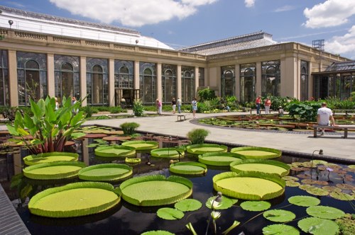 Longwood-crtsy-Waterlily-Ponds.jpg
