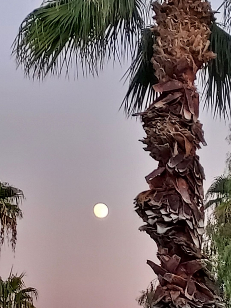 Moonrise in AZ.jpg