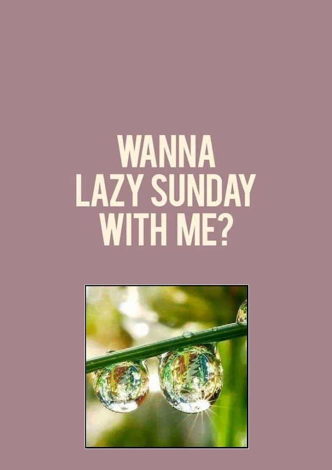Morning Dew ~ Lazy Sunday-Dewdrops_0.jpg