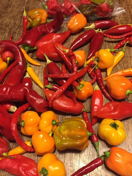 Peppers II.jpg
