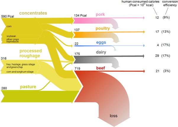 Protien Chart.jpg