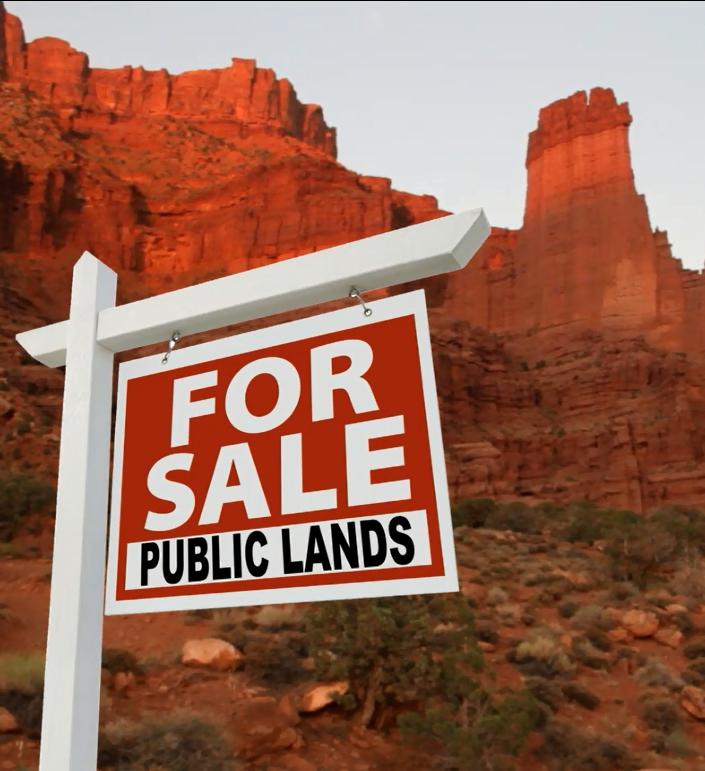 PublicLandsforSale.png