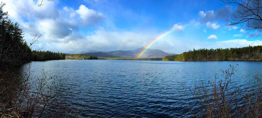 Rainbow1.jpg