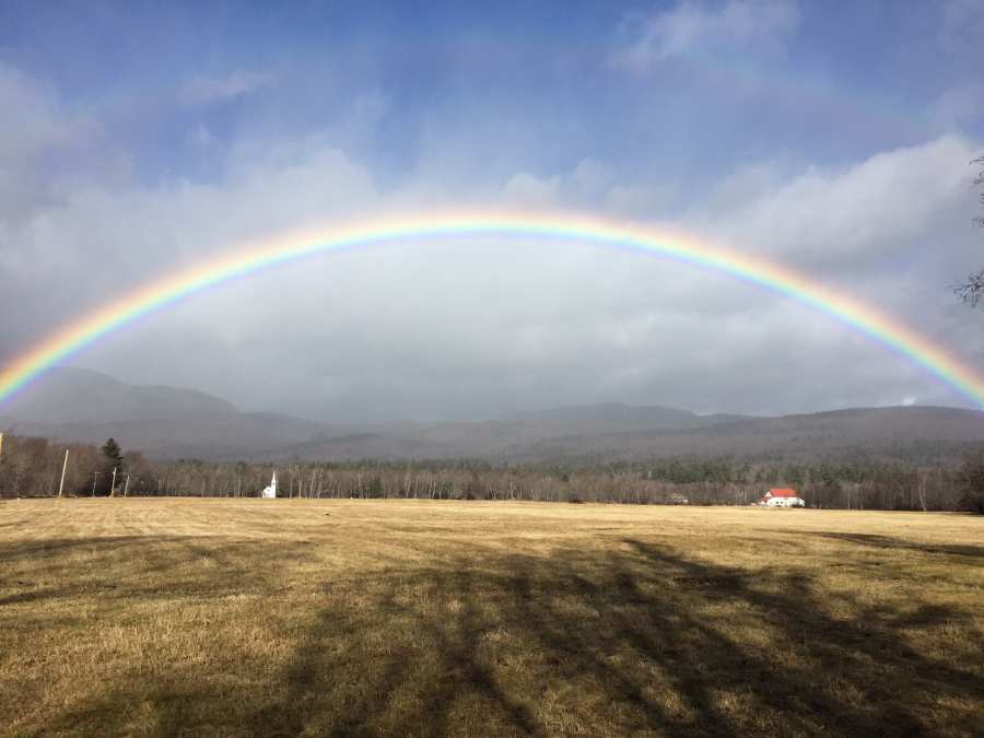 Rainbowaona.jpg