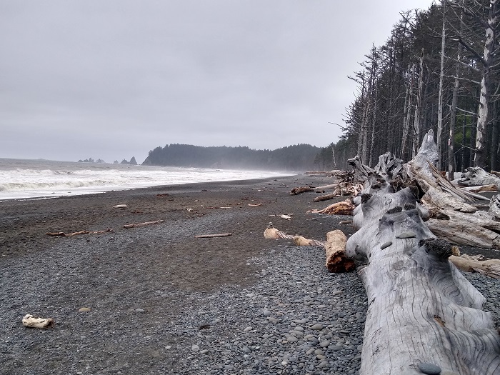 Rialto Beach 2.jpg