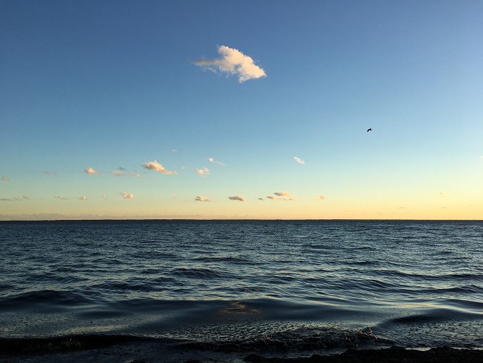 Sayville Beach facing west 11 3 2018.jpg