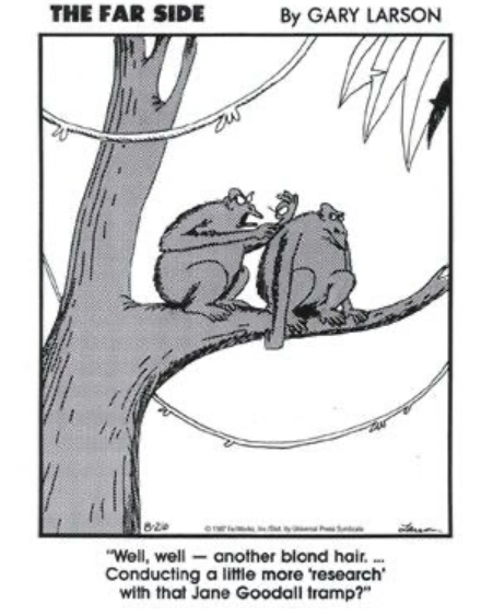 Screenshot 2025-10-02 at 7.51.41 AM.png