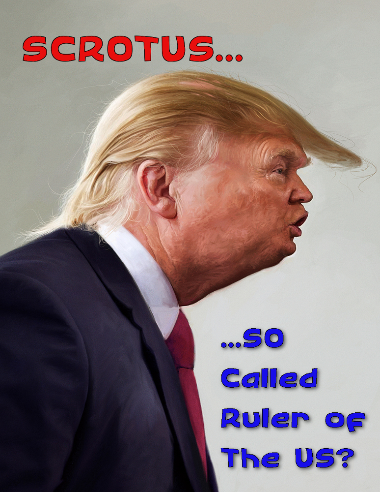 Scrotus1K.jpg