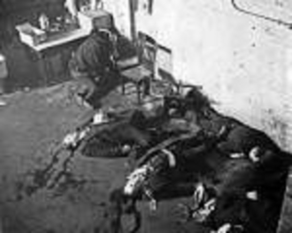 St Valentines Massacre.jpg