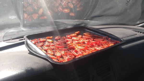 Sun Dried Tomatoes.jpg