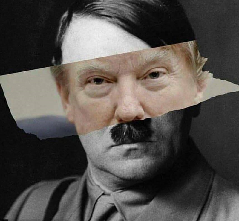 Trump Hitler (800x739)_0.jpg