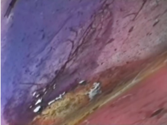 Untitled_27.jpg