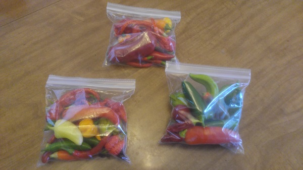 Varierty Packs.jpg
