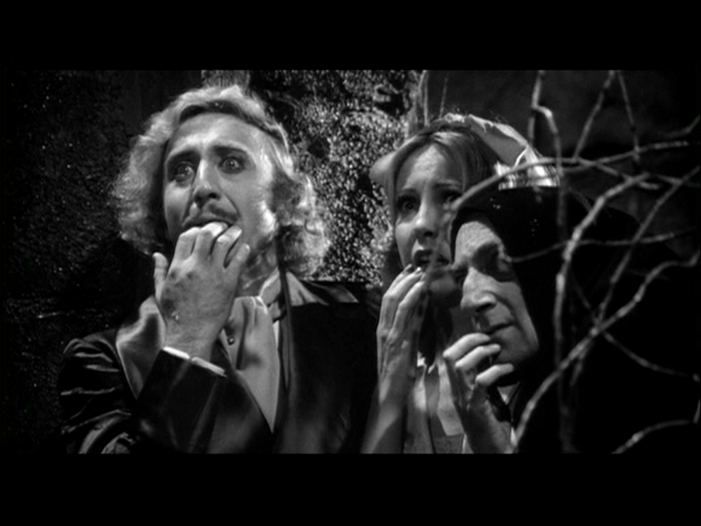 Young-Frankenstein-young-frankenstein-4187086-1024-768.jpg