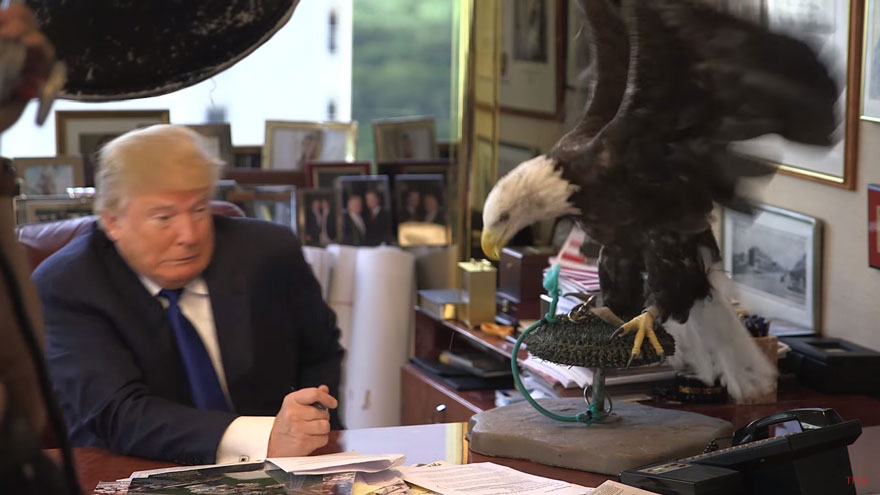 bald-eagle-attacks-trump-photo-shoot-time-magazine-3.jpg