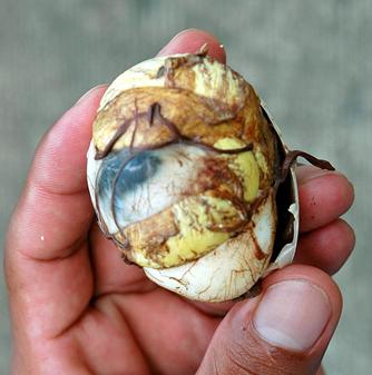 balut egg.jpg