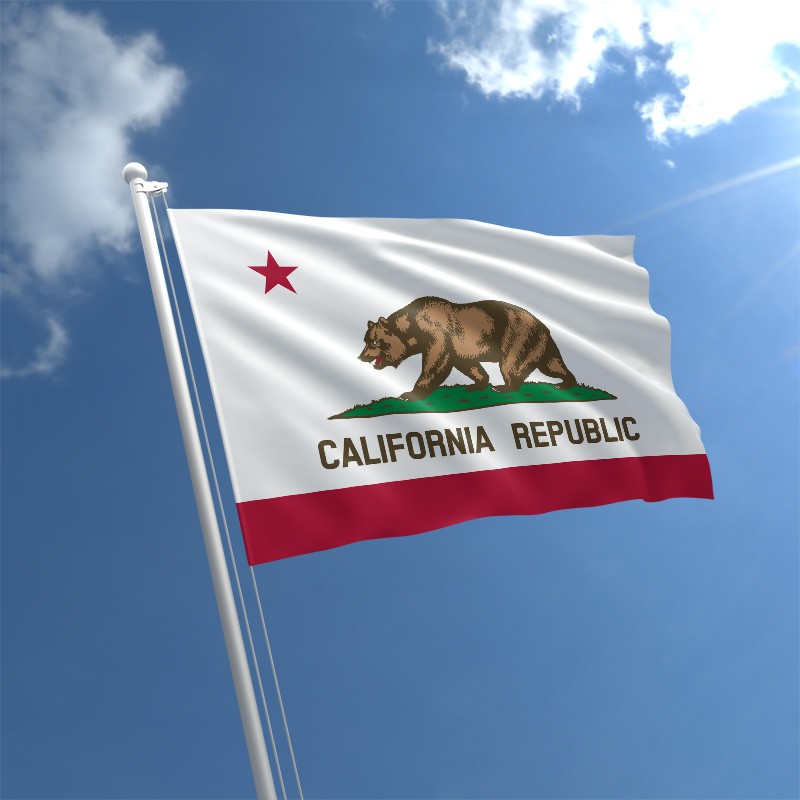 california-flag-std.jpg