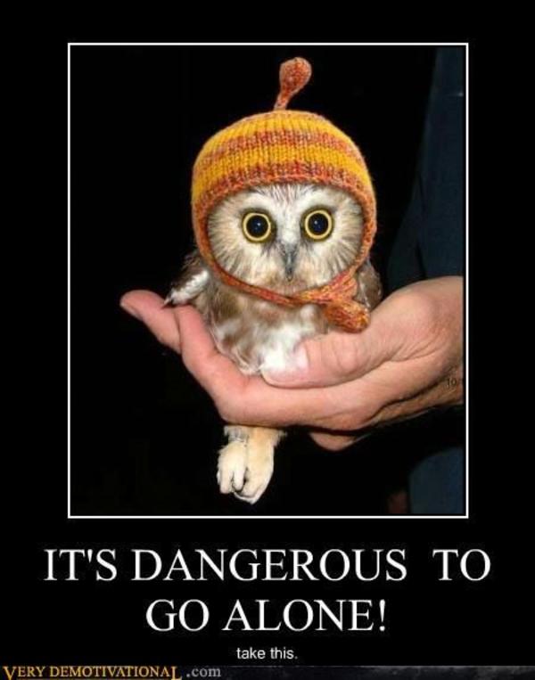 demotivational-posters-its-dangerous-to-go-alone1.jpg