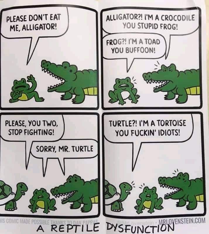 frog_toad_crocodile_alligator_turtle_tortoise_cartoon_HILARIOUS_a reptile dysfunction_erectile_VivaLaZone, Noodler, 5-4-2021.jpg