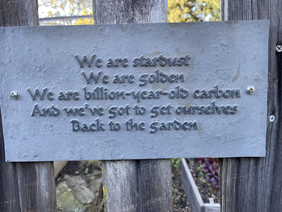 garden_1.jpg