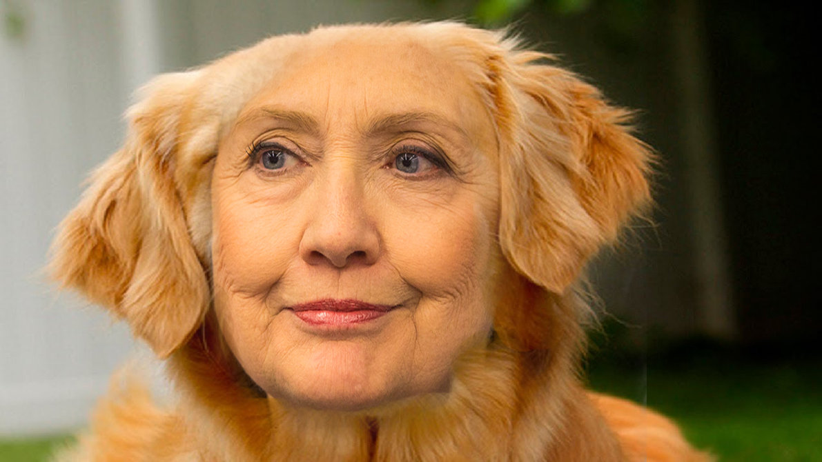 hillary_bitch_ton_by_capitalistguy-d9v8hiq_0.jpg