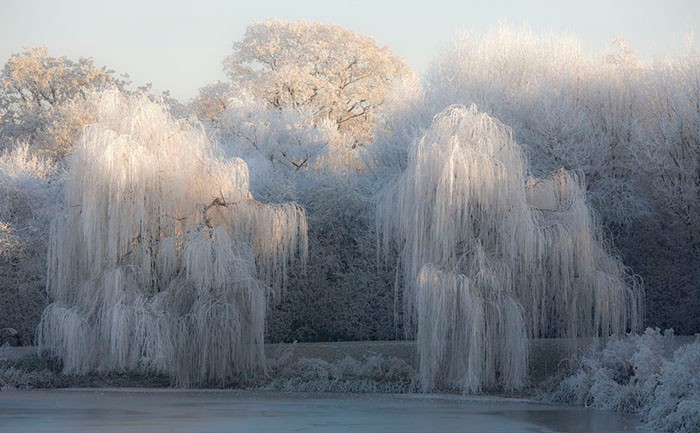 hoarfrost-booknvolume.jpg