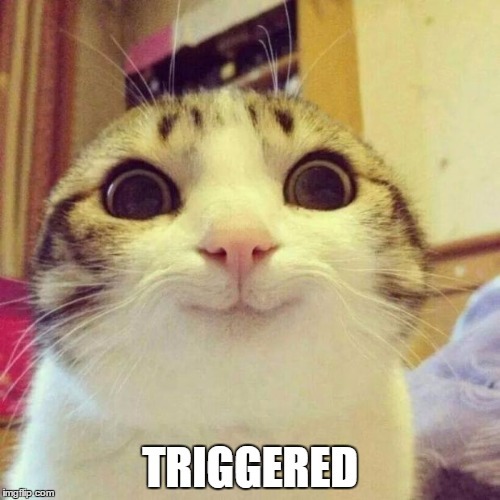 kitteh17_0.jpg
