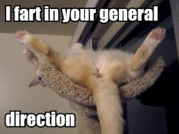 kitteh22_0.png