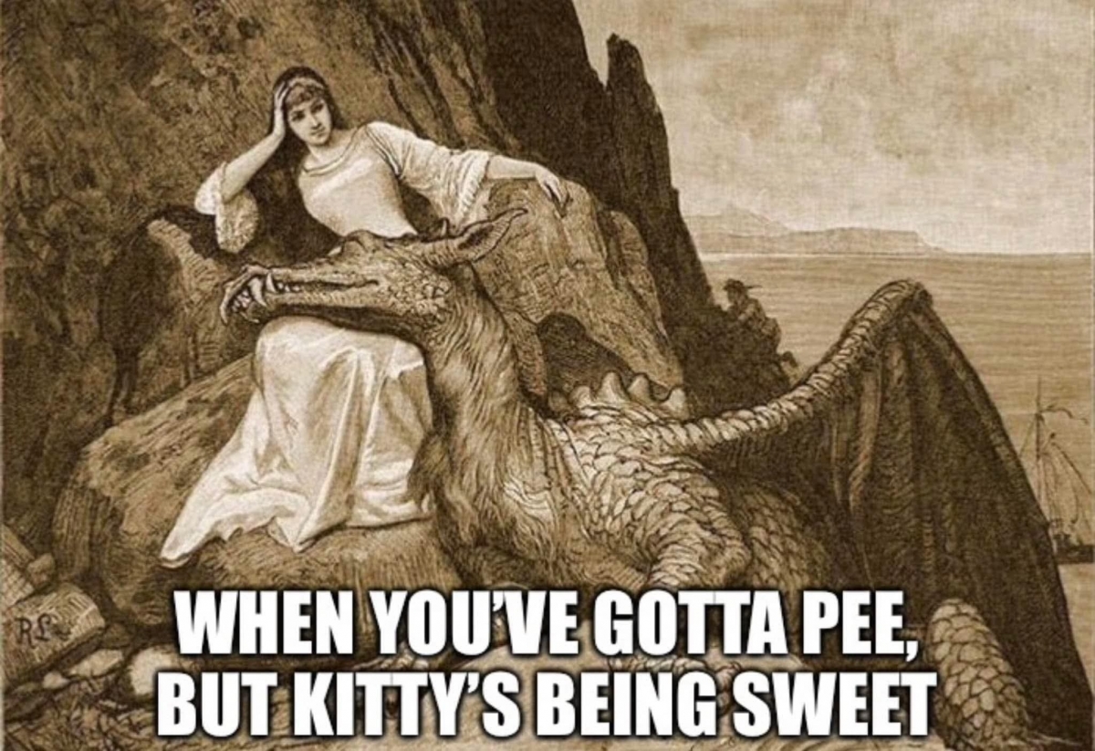 kitttty.jpg