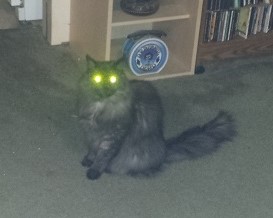 lightning glowing eyes mod (2)_0.jpg