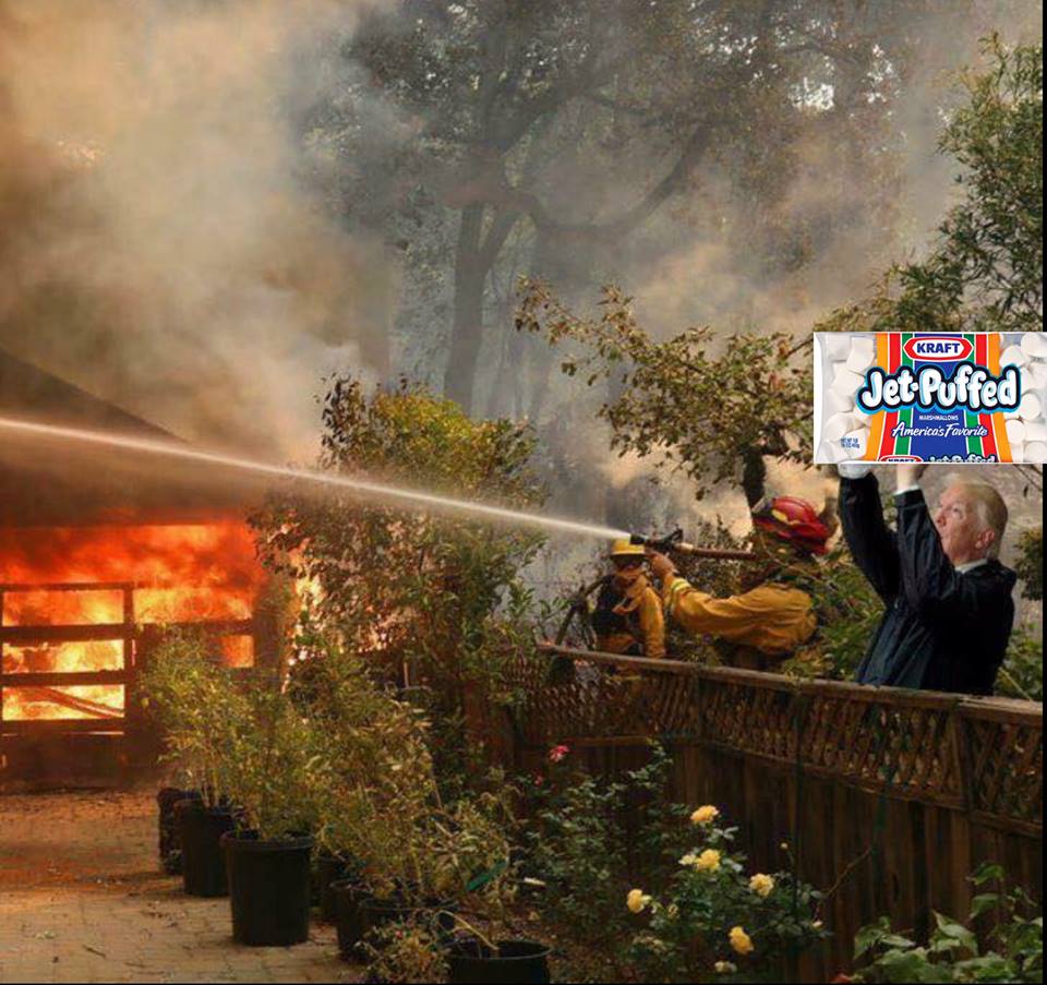 marsh.jpg