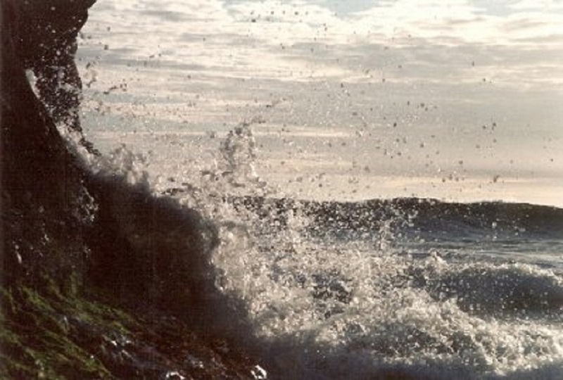nature1_1.jpg