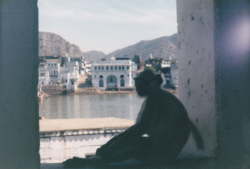 pushkar monk.jpg