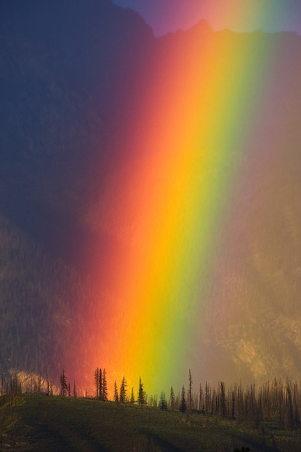 rainbow_0.jpg