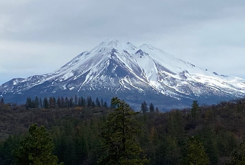 shasta_0.jpg