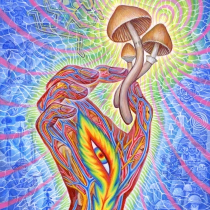 shroom_1.jpg