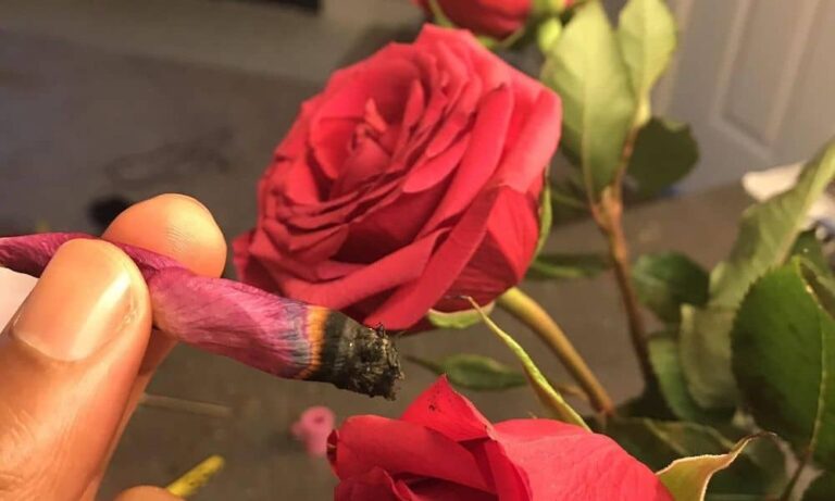 smoking-rose-blunt-768x461.jpg