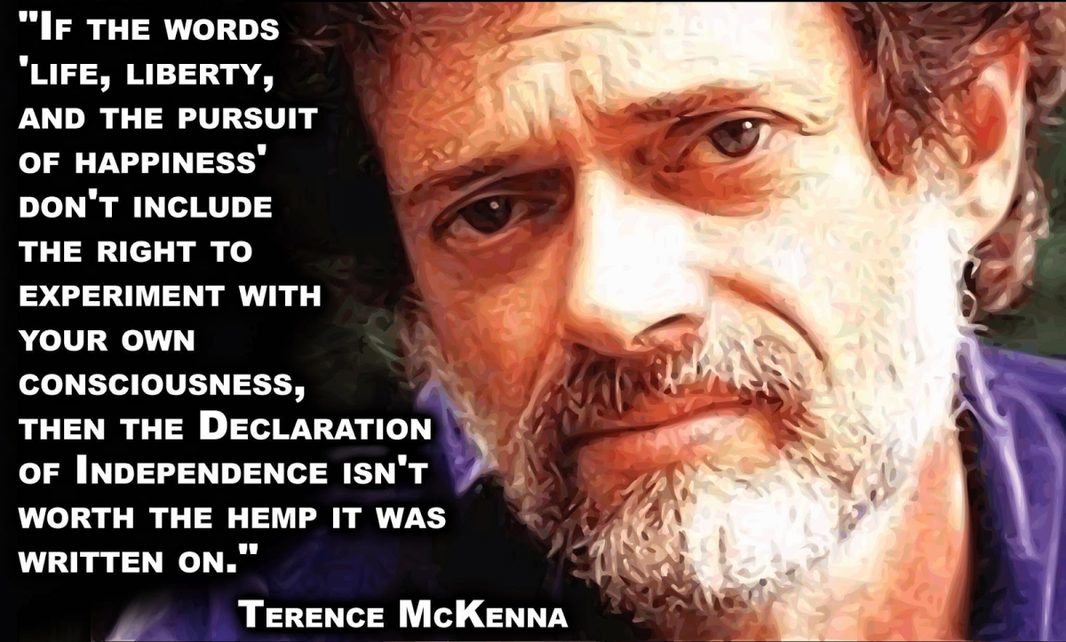 terence_mckenna quotes.jpg