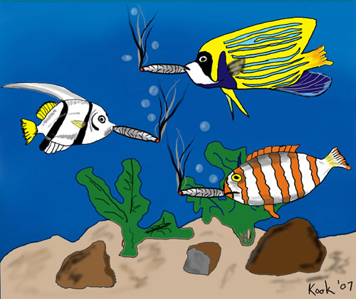 tokefish.jpg