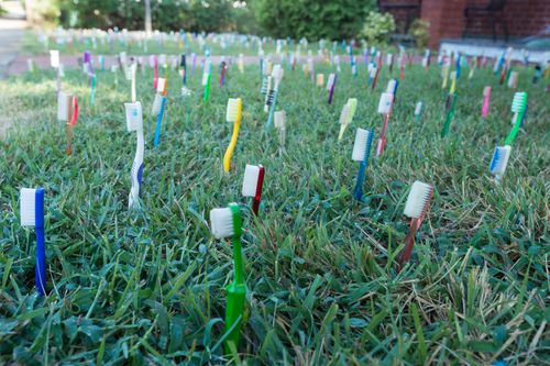 toothbrush garden.jpg