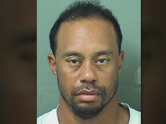 wptv-tiger-wood-mugshot_1496133284342_60362853_ver1.0_640_480.jpg