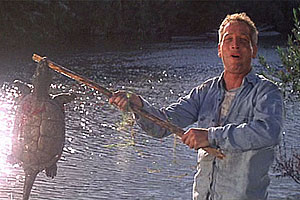 xcoolhandlukesnapper2.jpg